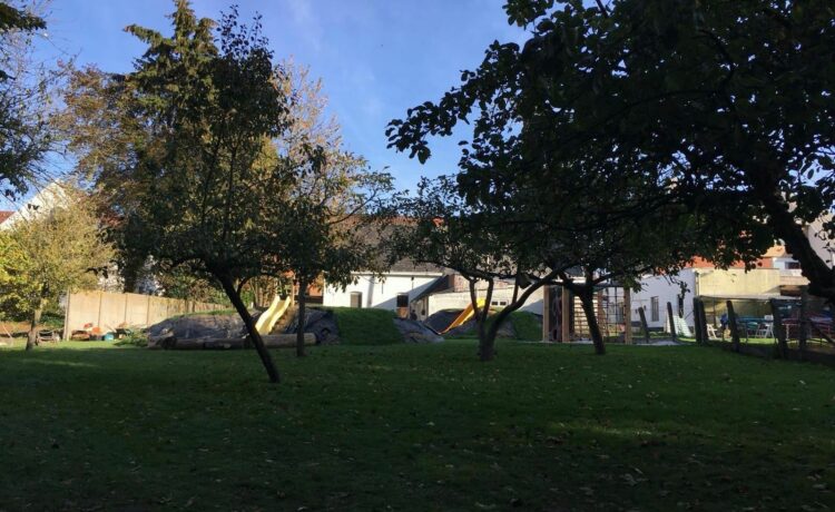 Tuin Huis 69 – grasveld