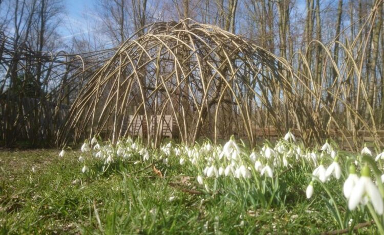 Tuin Huis 69 – wilgenhutten