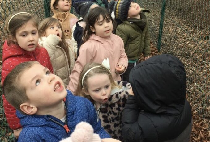 Kleuter – in de natuur