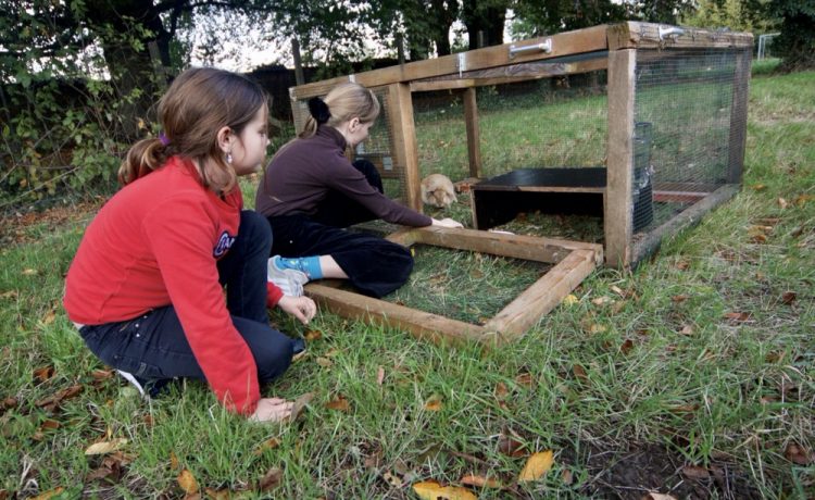 Pastorie – ons huisdier