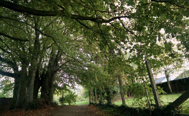 Pastorie – de tuin