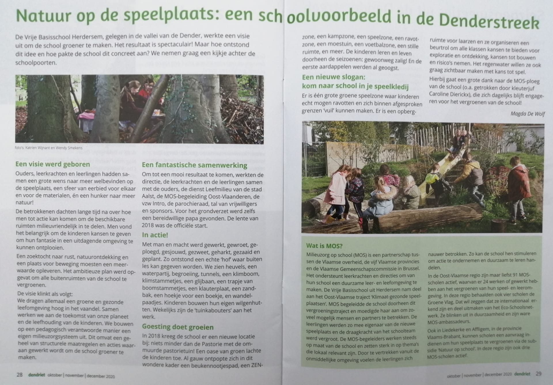 Alweer een prachtig artikel over onze groene school. Prachtig verwoord door Magda De Wolf. (Dendriet, oktober/november/december 2020)