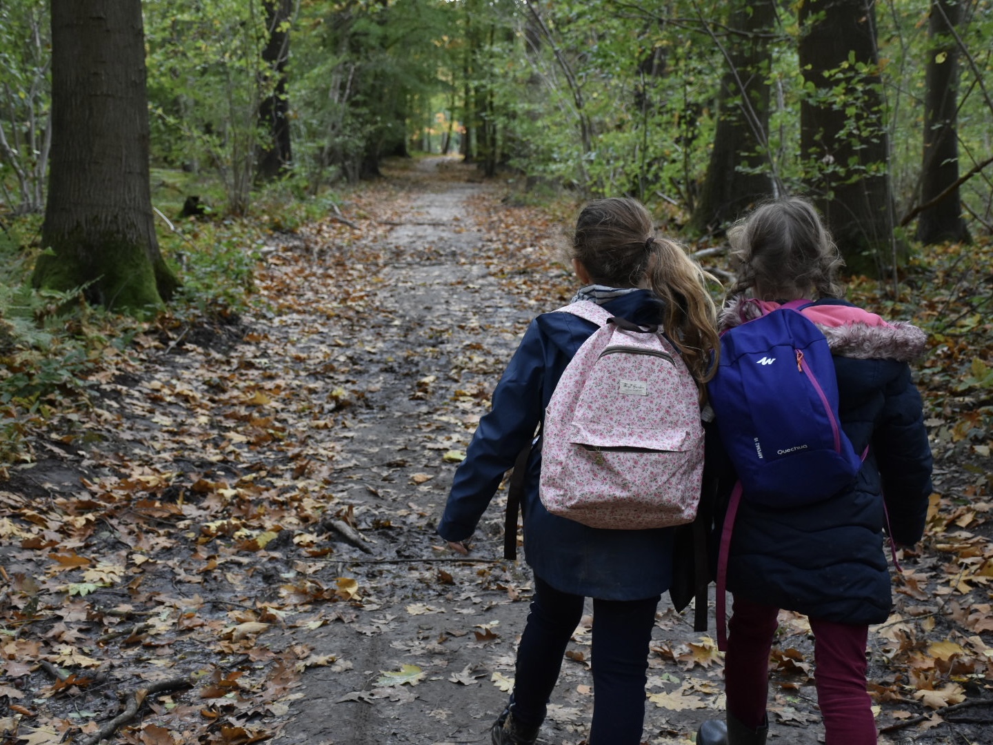 De herfst is al een tijdje in het land. De natuur maakt zich stilletjes aan klaar voor de winter.